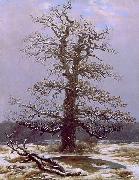 Caspar David Friedrich Dab na sniegu Sweden oil painting artist